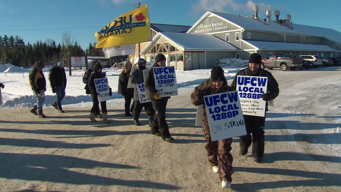 Green Party Leader Seeks Resolution for Unionized Covered Bridge EmployeesLe chef du Parti vert cherche à résoudre la situation concernant les employés syndiqués de Covered Bridge