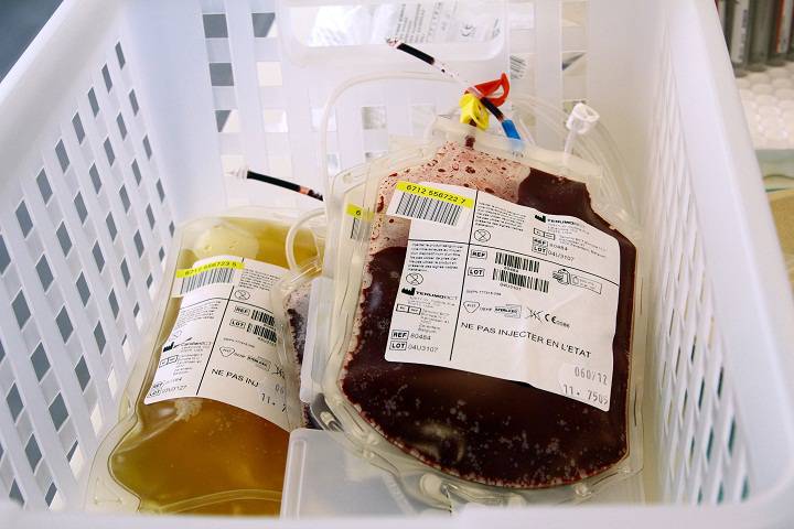 Construction of controversial paid-plasma clinic underway in Moncton. Global news – November 25, 2016Une clinique controversée de collecte de plasma sanguin en construction à Moncton, LA PRESSE CANADIENNE – 25 NOVEMBRE 2016