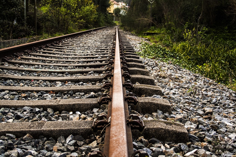 Green Party Leader looking for provincial leadership on public transportationLe chef du Parti vert s’attend à une initiative provinciale en matière de transport collectif