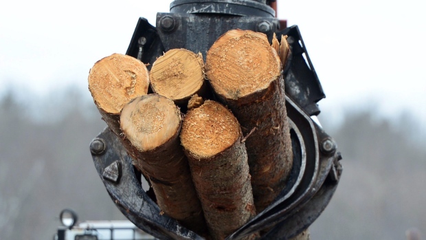 N.B. trade minister got things wrong on softwood lumber, says woodlot group – CBC News – 6 July 2017