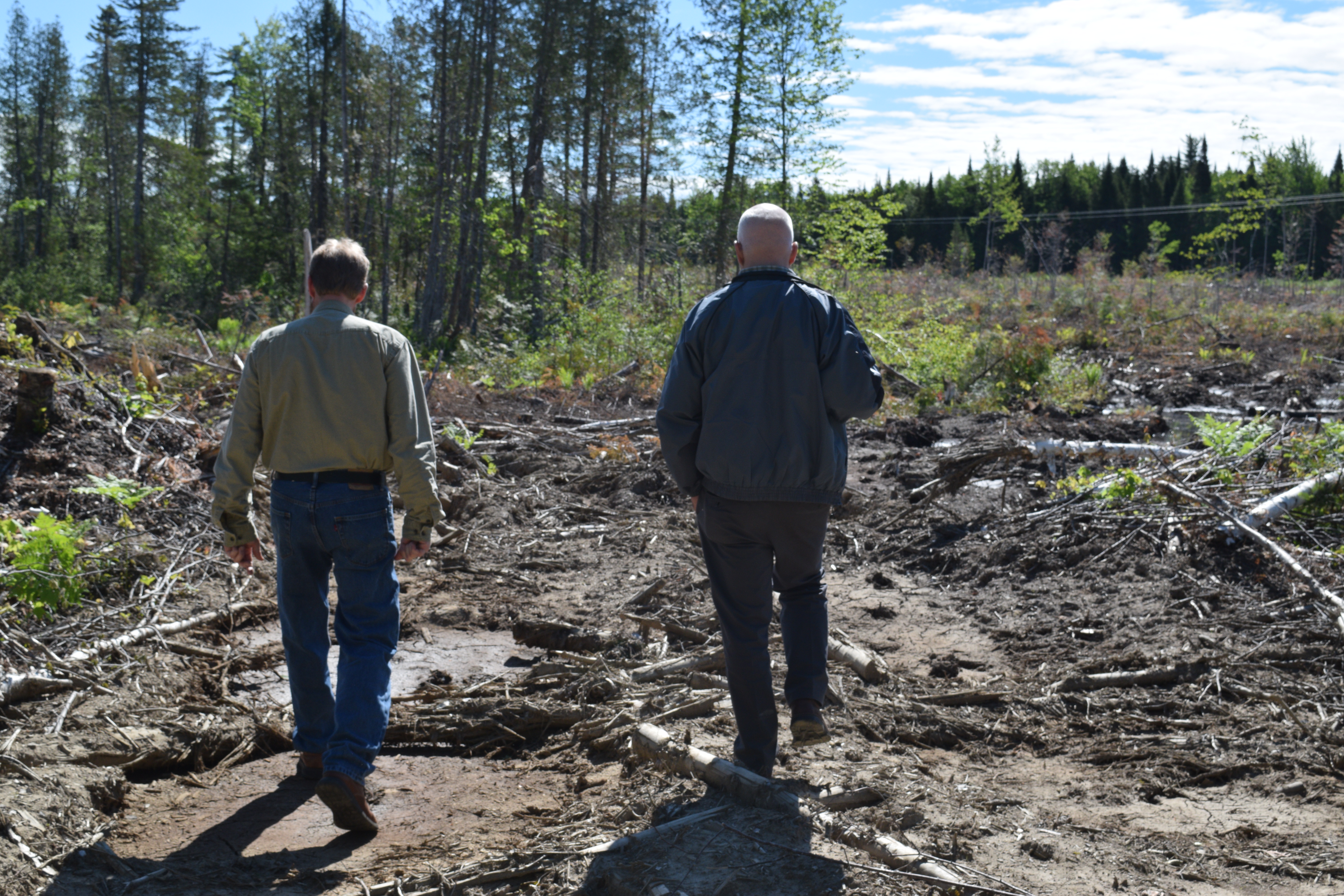 The Government must Stand Up for Woodlot OwnersLe gouvernement doit défendre les intérêts des propriétaires de boisés privés